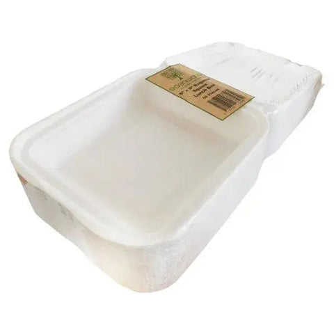 Edenware Bagasse Square Lunch Box Outer Carton 8in x 8in