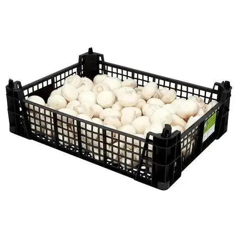 Farm Fresh Mushrooms 1.81kg