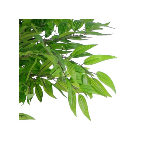 100cm Luxury Artificial Mini Ruscus Tree Premium Range