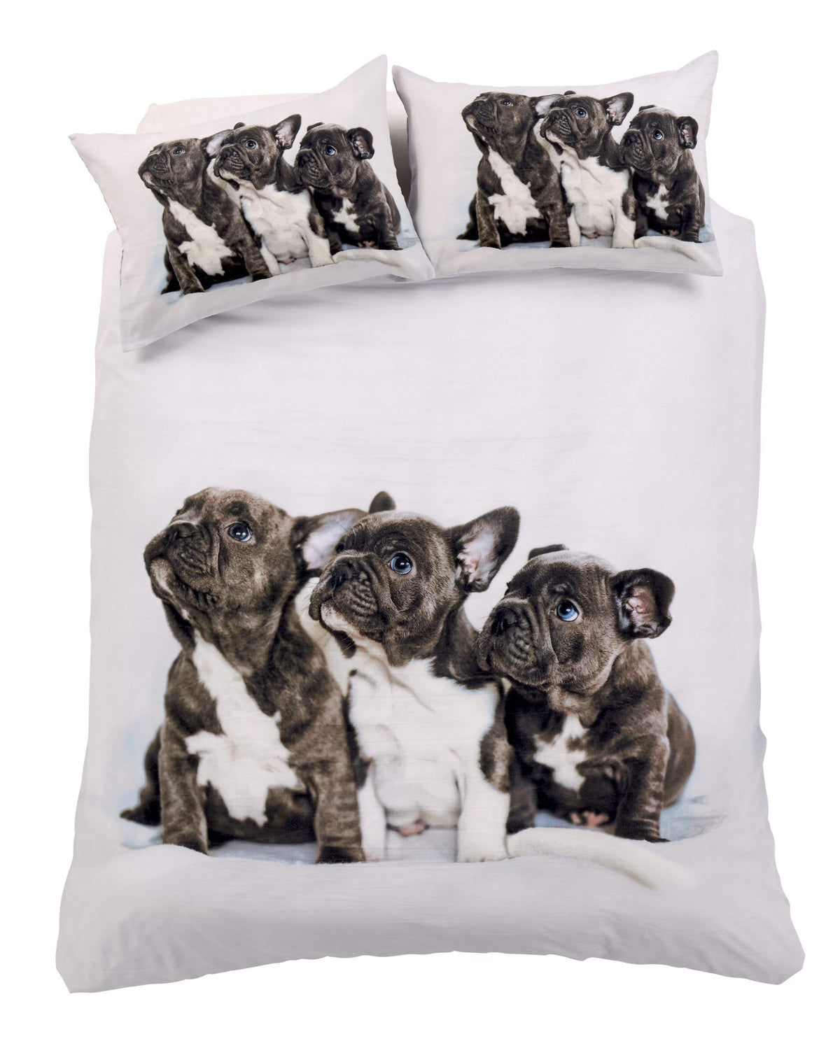 OLIVIA ROCCO Frenchie Cotton Rich Duvet Set With Vibrant Colours And Patterns For Bedroom Transformation Single Double King