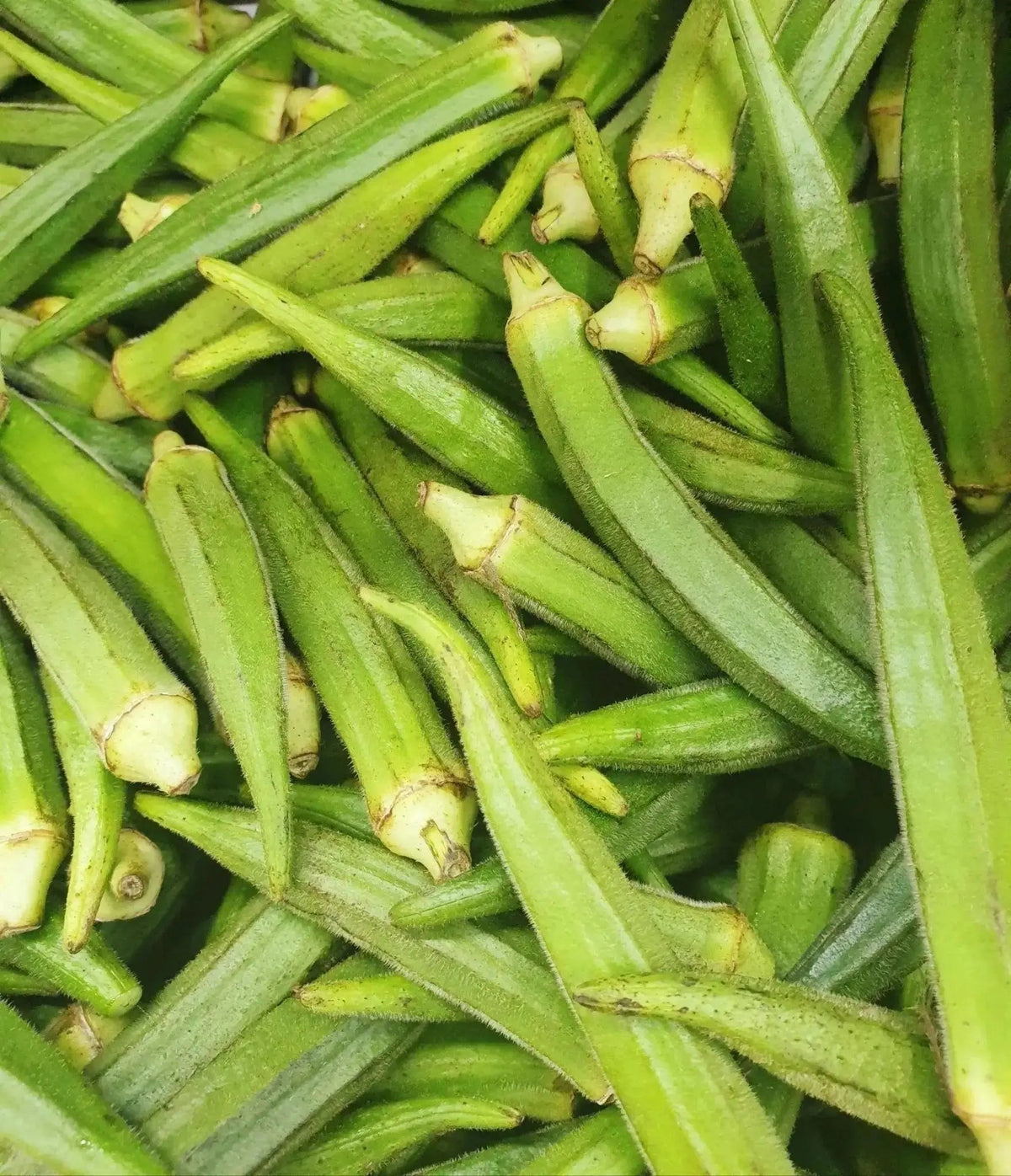 Fresh Okra from Ghana 1kg