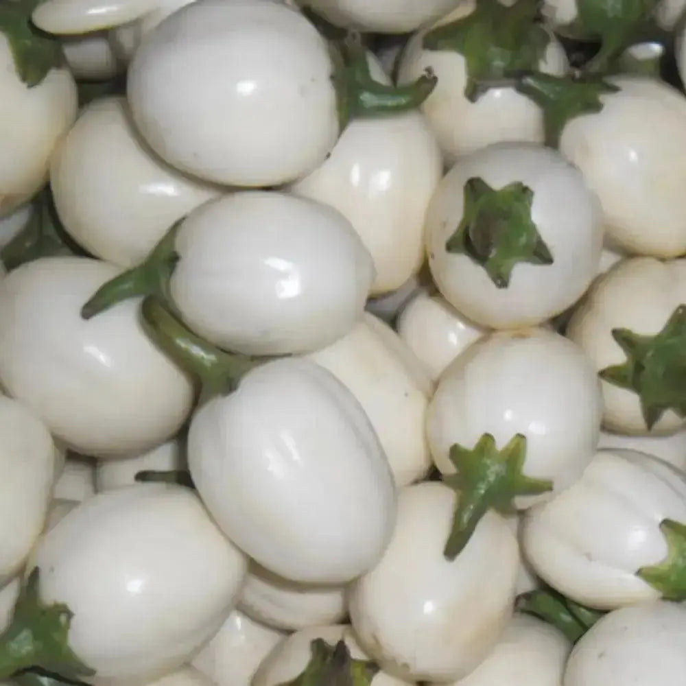 Garden Eggs From Ghana 1kg