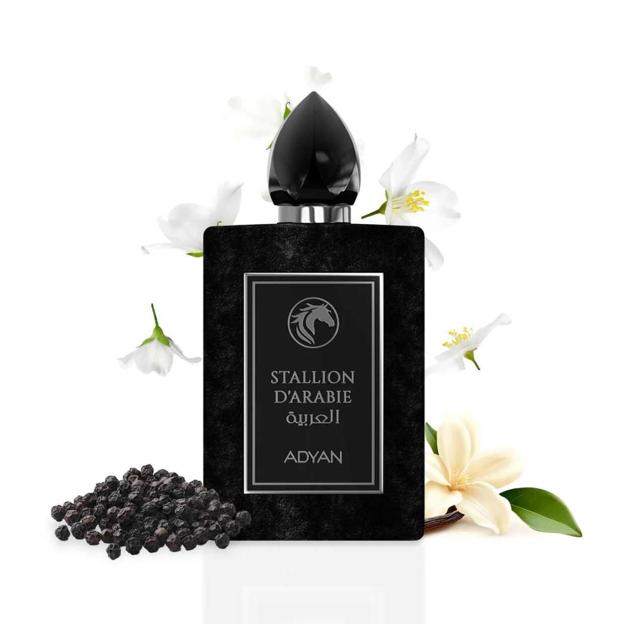 Stallion D’Arabie by Adyan – Extrait de Parfum (100ml)