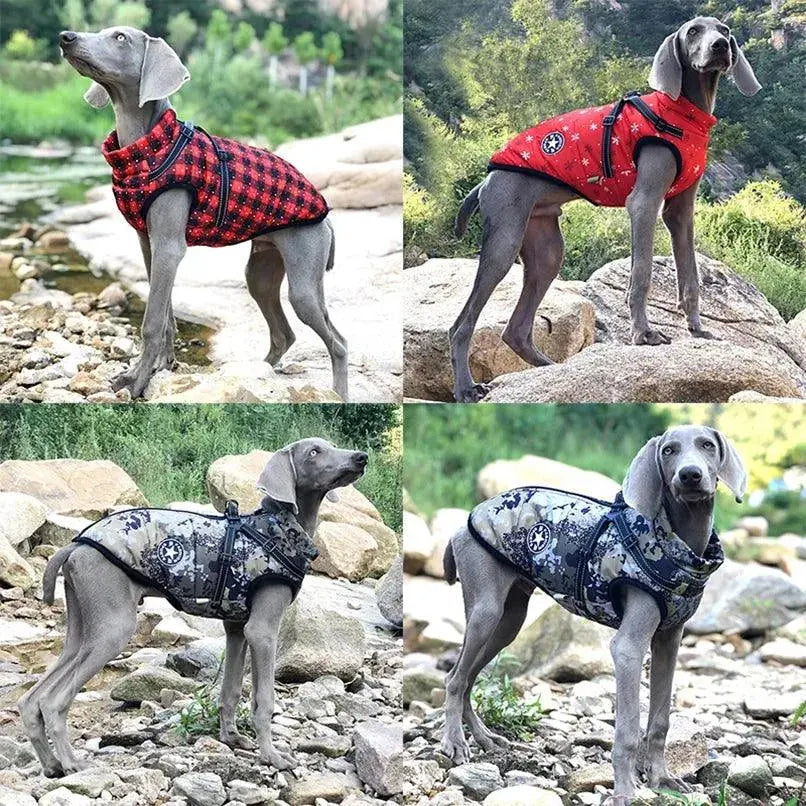 Puppy Clothes Winter Dog Coat Jacket for Small Medium Dog Reflective