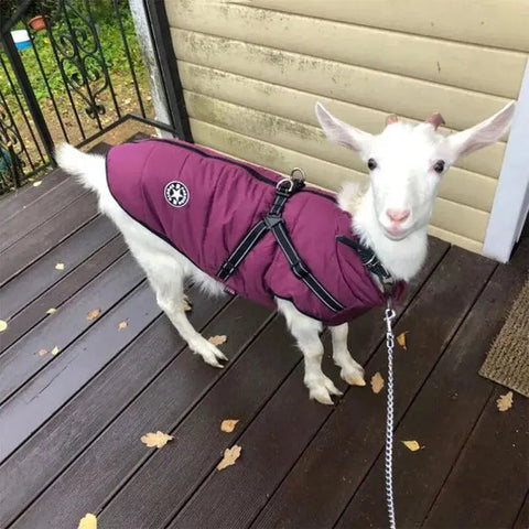 Puppy Clothes Winter Dog Coat Jacket for Small Medium Dog Reflective