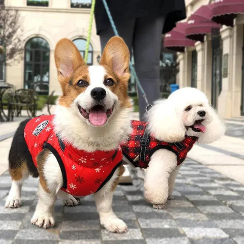 Puppy Clothes Winter Dog Coat Jacket for Small Medium Dog Reflective