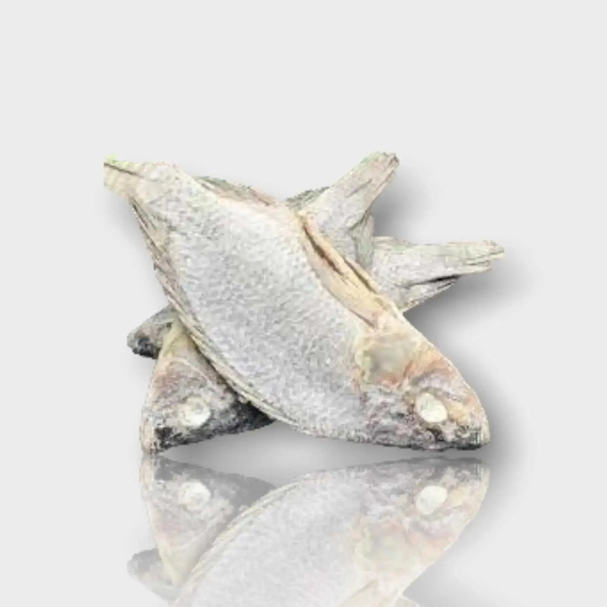 Salted & Dried Tilapia - Koobi-Bitoyi 100g