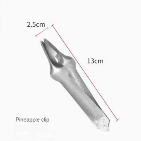 Stainless Steel Pineapple Silcer