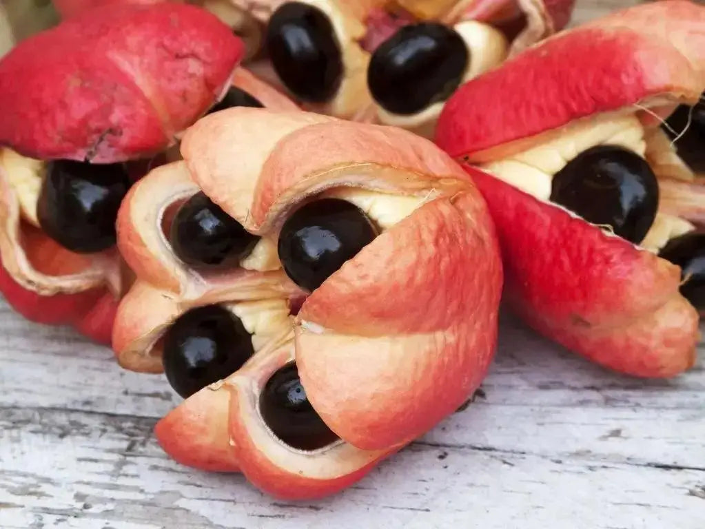 Tropical Sun Jamaica Ackee (540g)