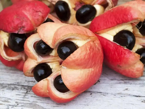 Tropical Sun Jamaica Ackee (540g)