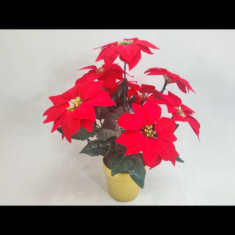 LED Poinsettia In A Pot