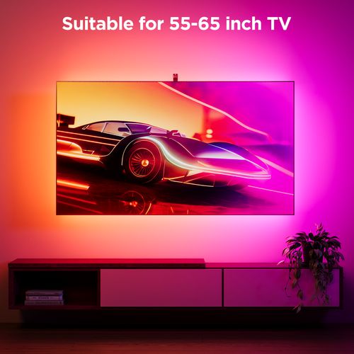 GOVEE TV BACKLIT 3S 55-65INCH NETFLIX