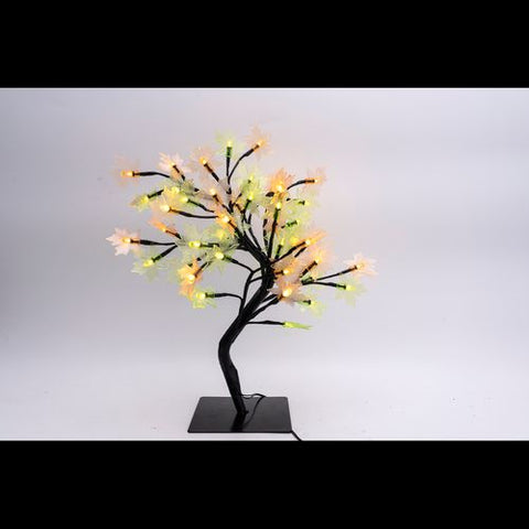 Glorious Maple Tree Light