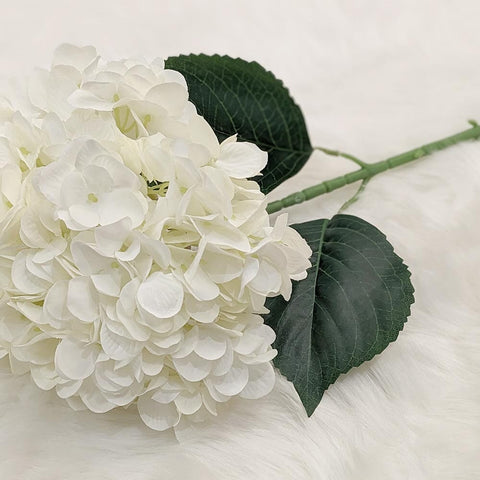 Cream Giant Pom Pom Hydrangea Single Stem Flower