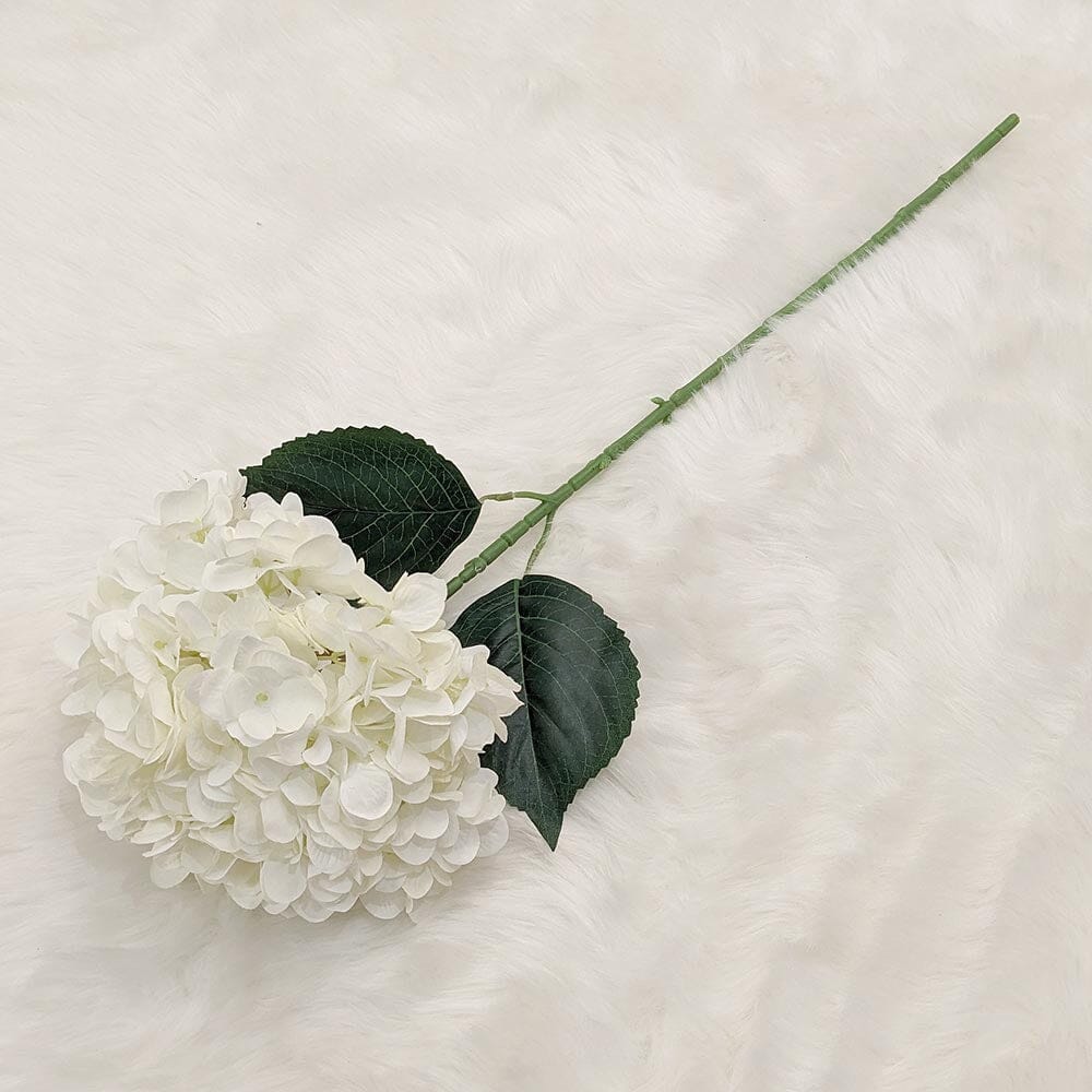 Cream Giant Pom Pom Hydrangea Single Stem Flower