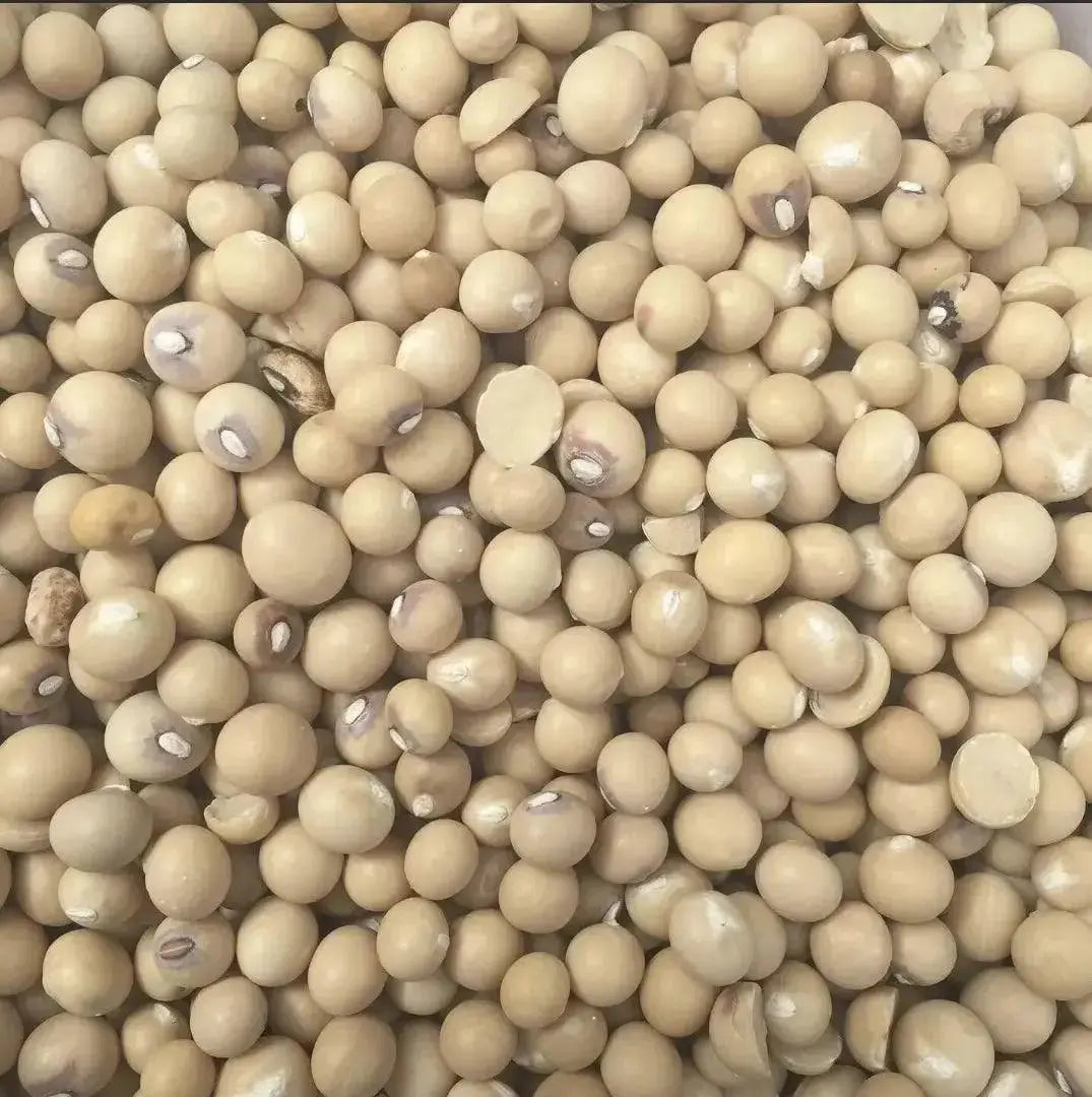 WHOLE OKPA SEEDS - Bambara Beans 1kg