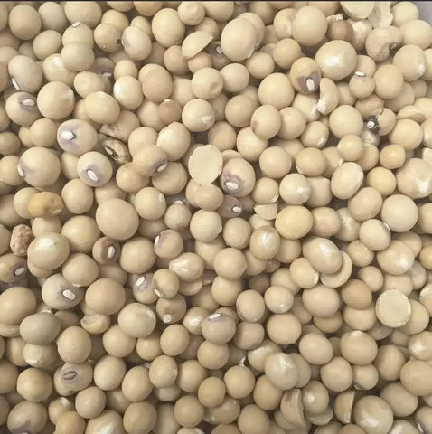 WHOLE OKPA SEEDS - Bambara Beans 1kg