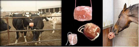 Himalayan Pink Salt Lick
