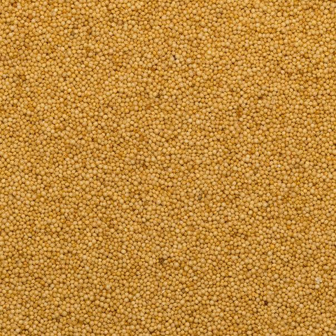 Organic Amaranth Seed