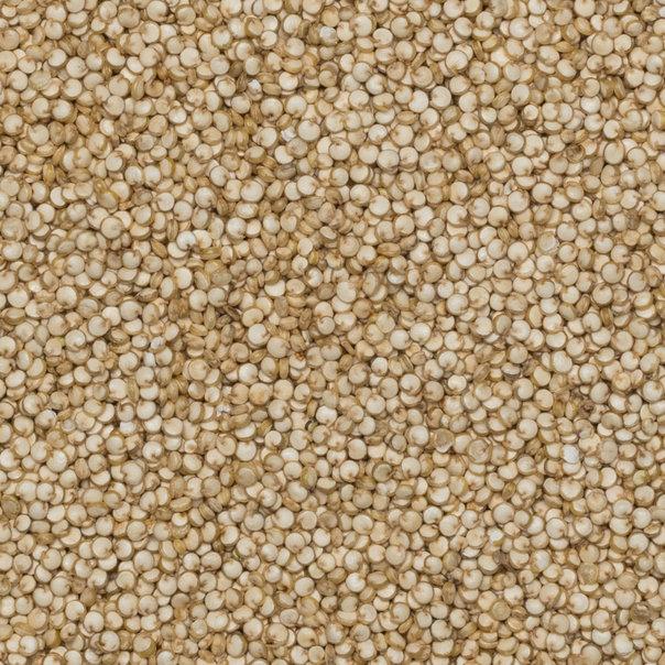 Quinoa Grain